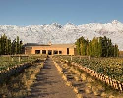 Wineries in Mendoza
